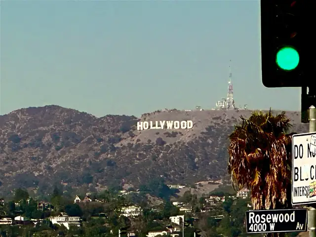 Duke in Los Angeles · Photography